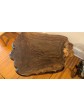 Claro Walnut Burl Coffee Table
